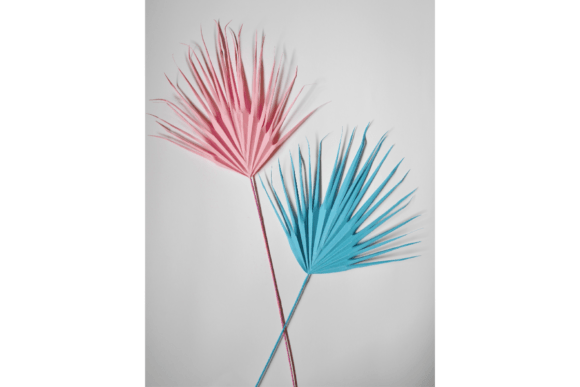 Download Decorative Palm Leaf - Palm Collection